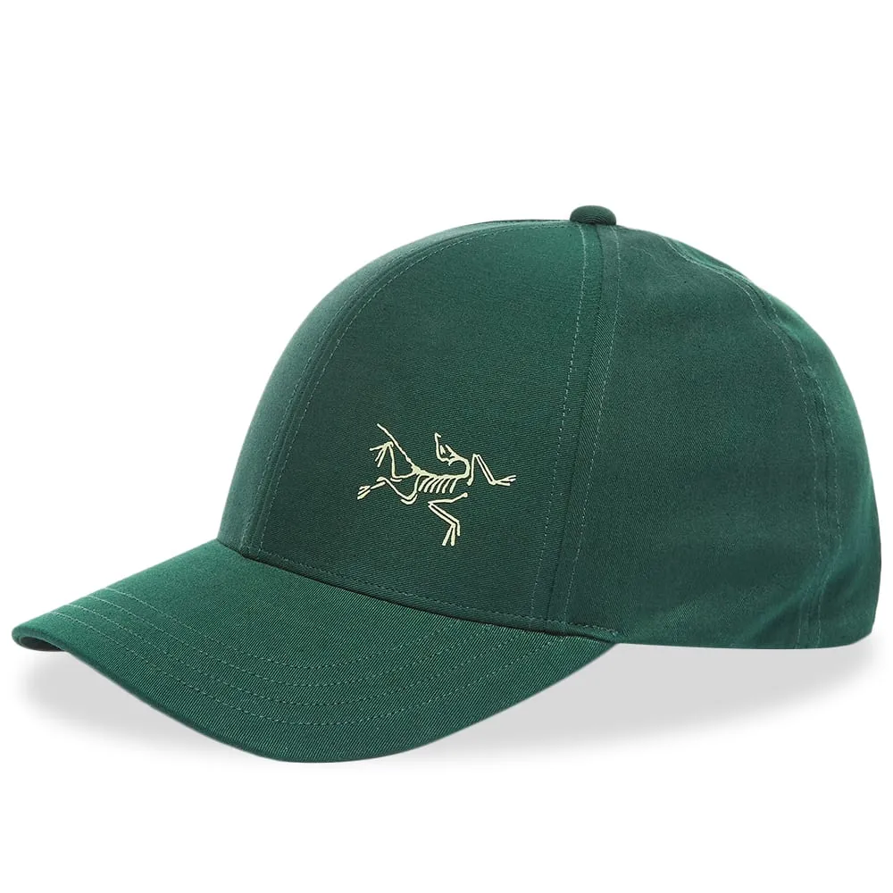 Arcteryx Bird Cap