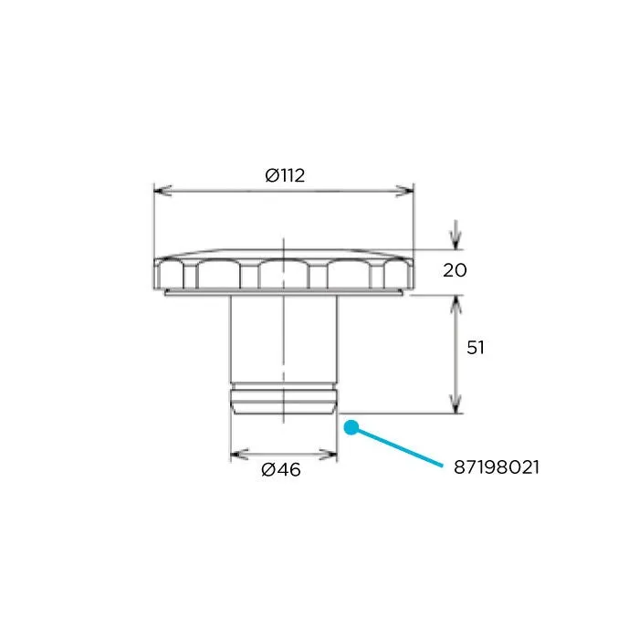 Boquilla de impulsión para roscar en acero inoxidable A316 y diámetro de 112mm para piscinas de hormigón 2 unidades Flexinox