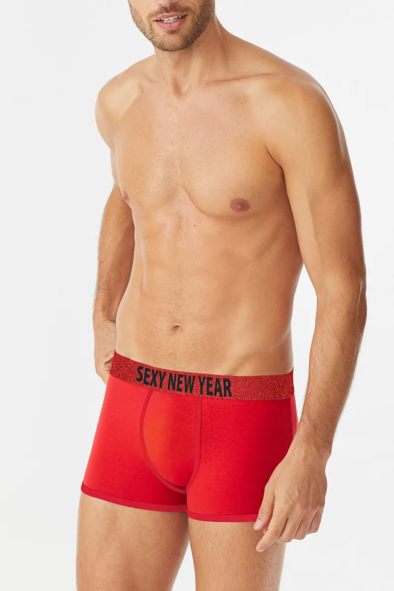 BOXER SEXY NEW YEAR