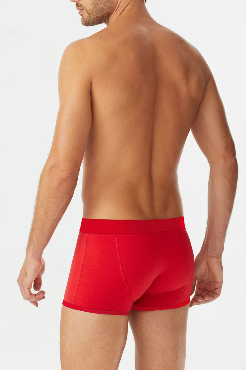 BOXER SEXY NEW YEAR