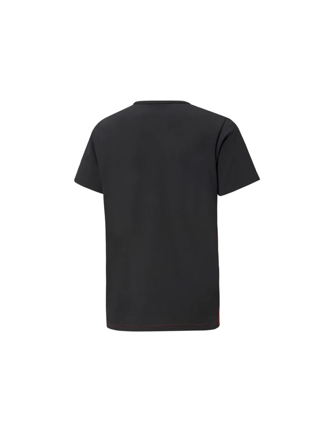 Camiseta de Fútbol Puma individualRISE Rojo Hombre