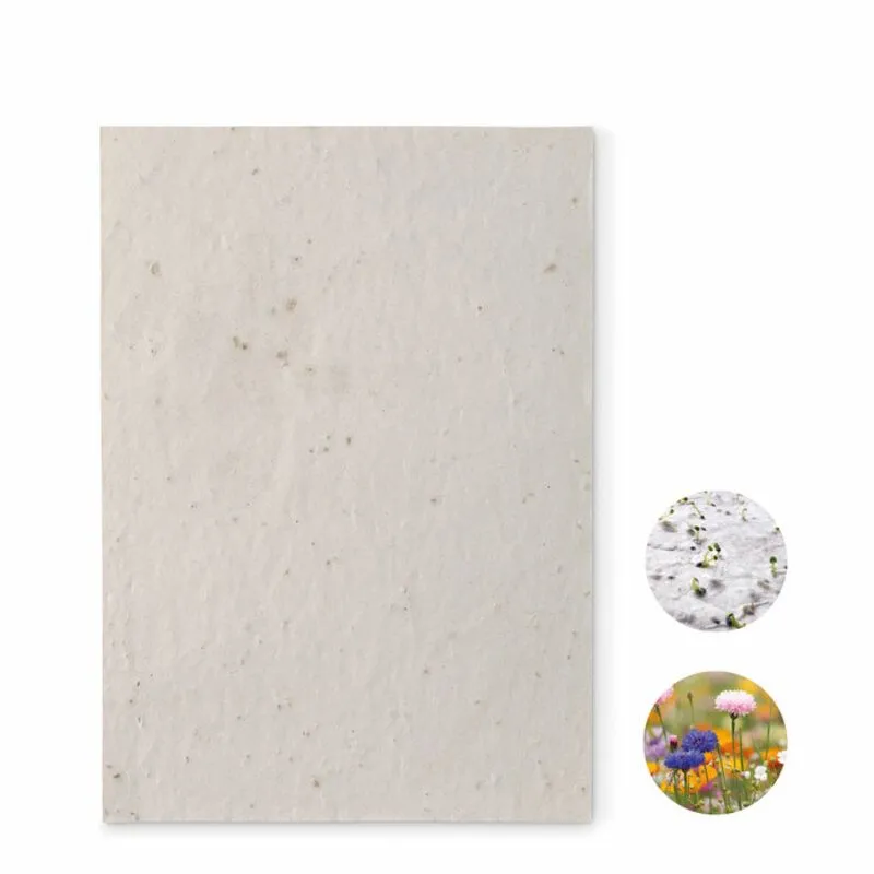 Hoja de papel reciclado con semillas Aside
