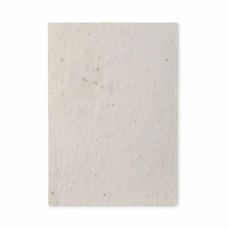 Hoja de papel reciclado con semillas Aside