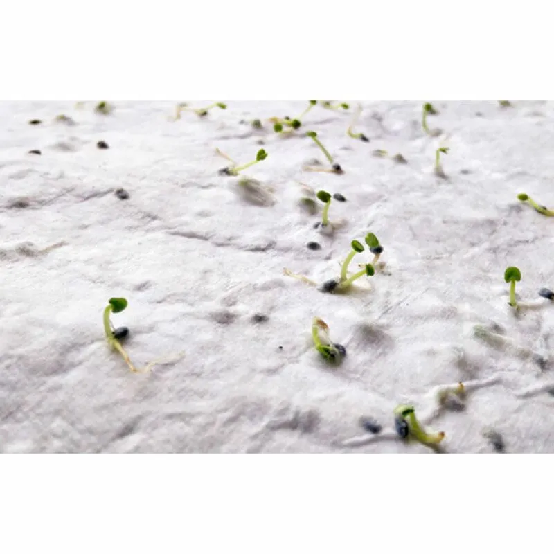 Hoja de papel reciclado con semillas Aside