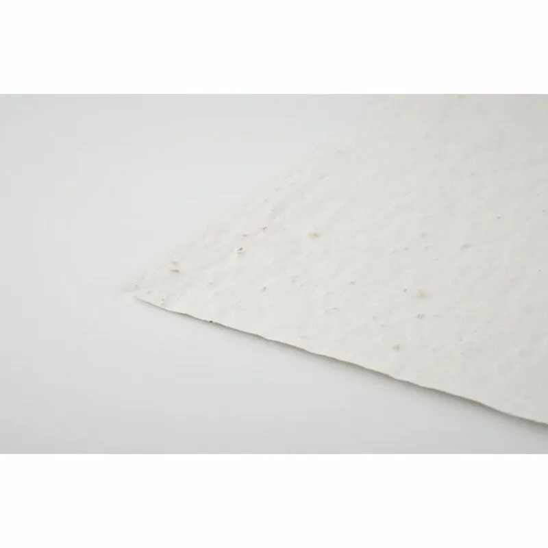Hoja de papel reciclado con semillas Aside