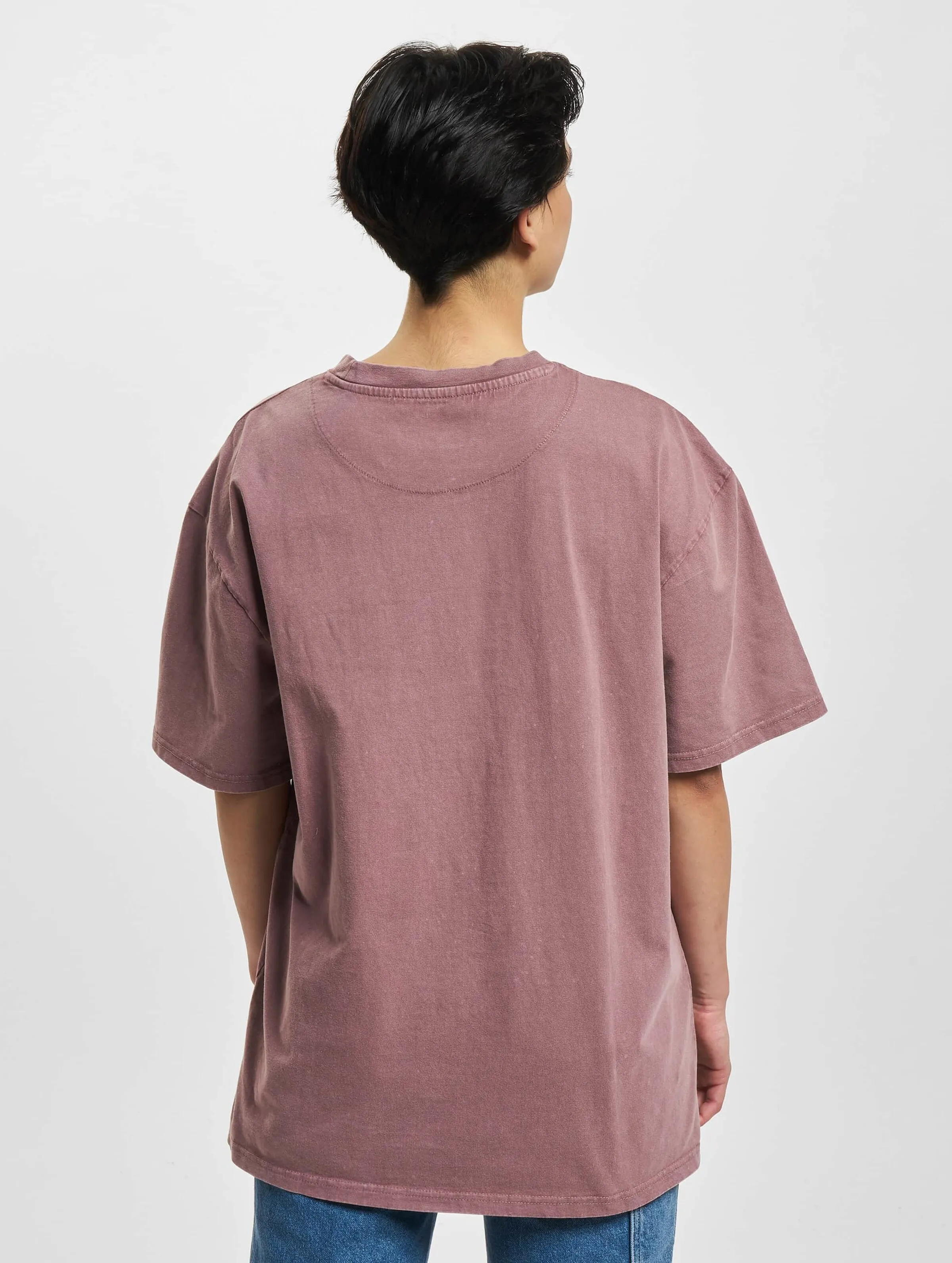 Karl Kani Small Signature Washed