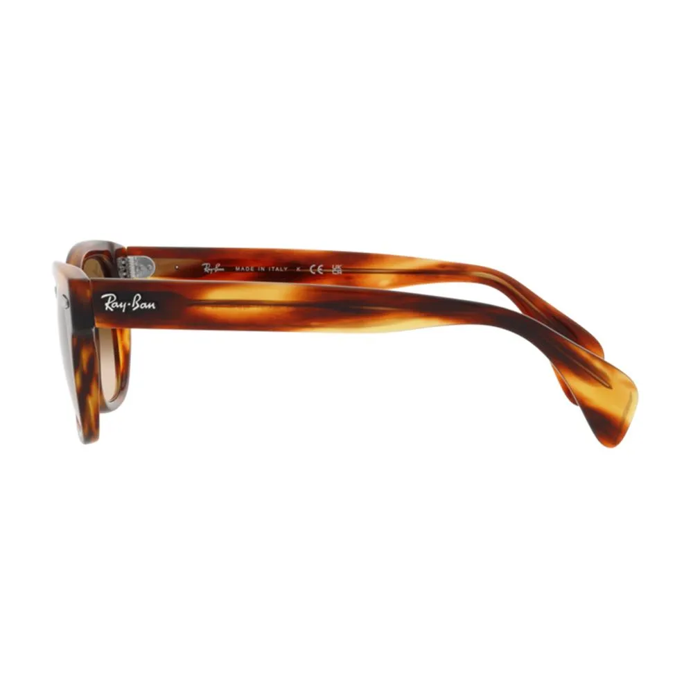 Lentes Ray Ban RB0880S