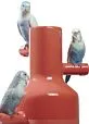 Parrot Parade Vase. Coral