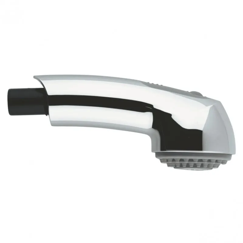 Recambio teleducha cocina Grohe