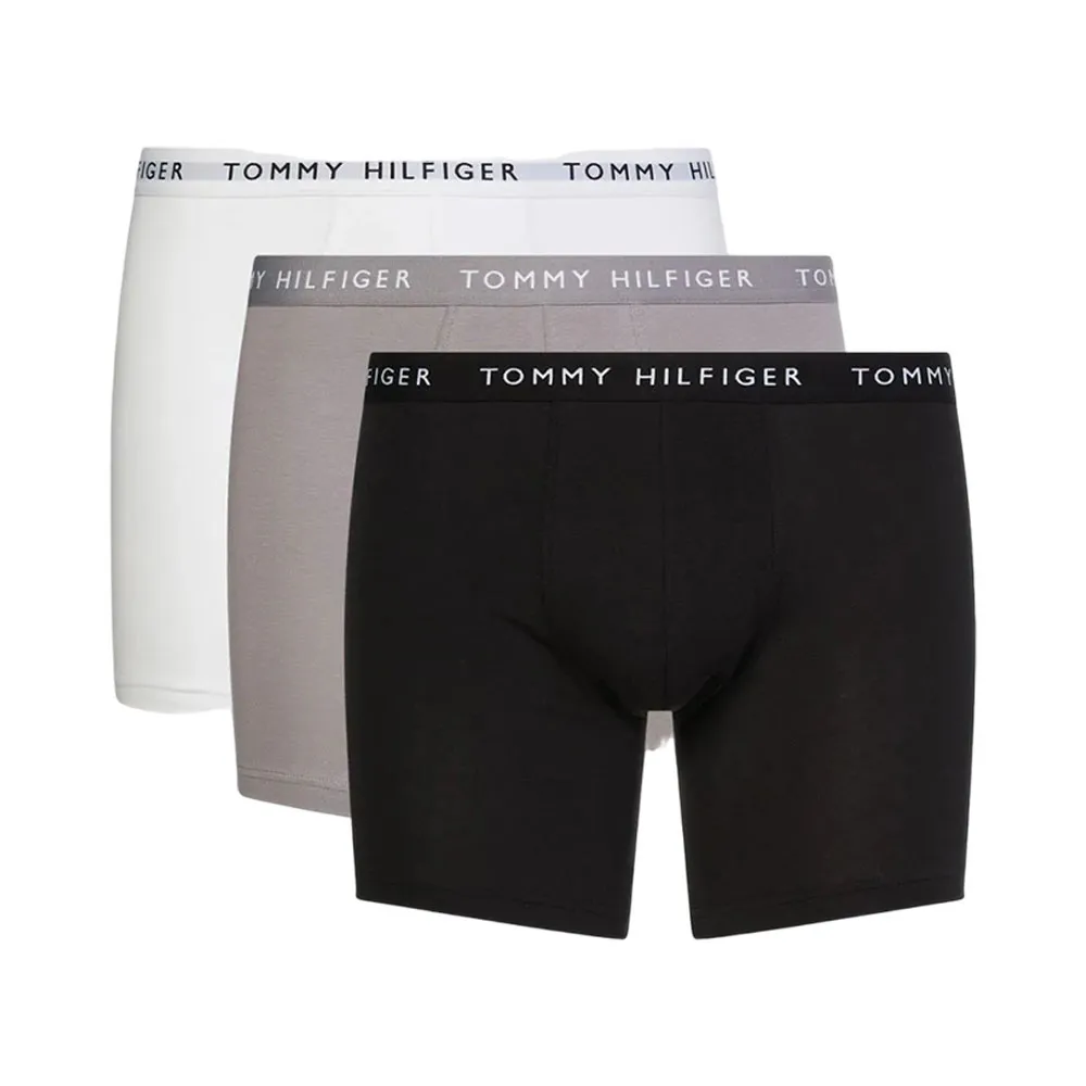SET DE ROPA INTERIOR TOMMY HILFIGER UM0UM02204 OTG